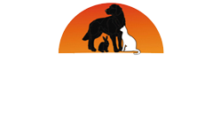 effinghamanimalhospital.com
